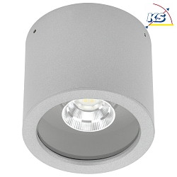 LED Outdoor Ceiling spot Type No. 2319, IP44,  11cm, 8W 3000K 800lm 30, swiveling 30, silver matt