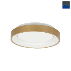 ceiling luminaire RINGLEDE IP20, gold dimmable